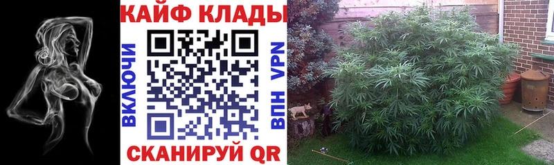 Какие есть наркотики Пласт Alpha-PVP Мефедрон ГАШ Кокаин