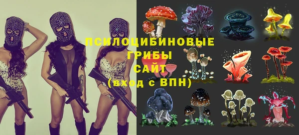 прущие грибы Балахна